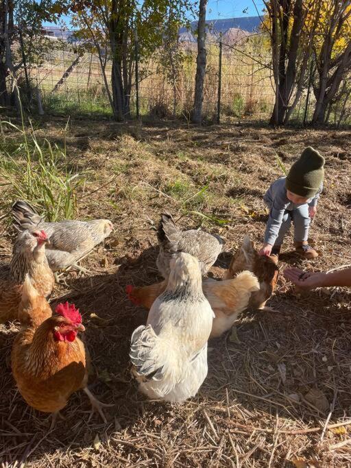 Вилла Copper Creek Farm Toquerville Экстерьер фото