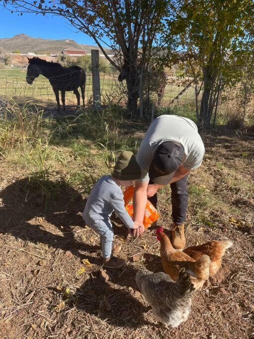 Вилла Copper Creek Farm Toquerville Экстерьер фото