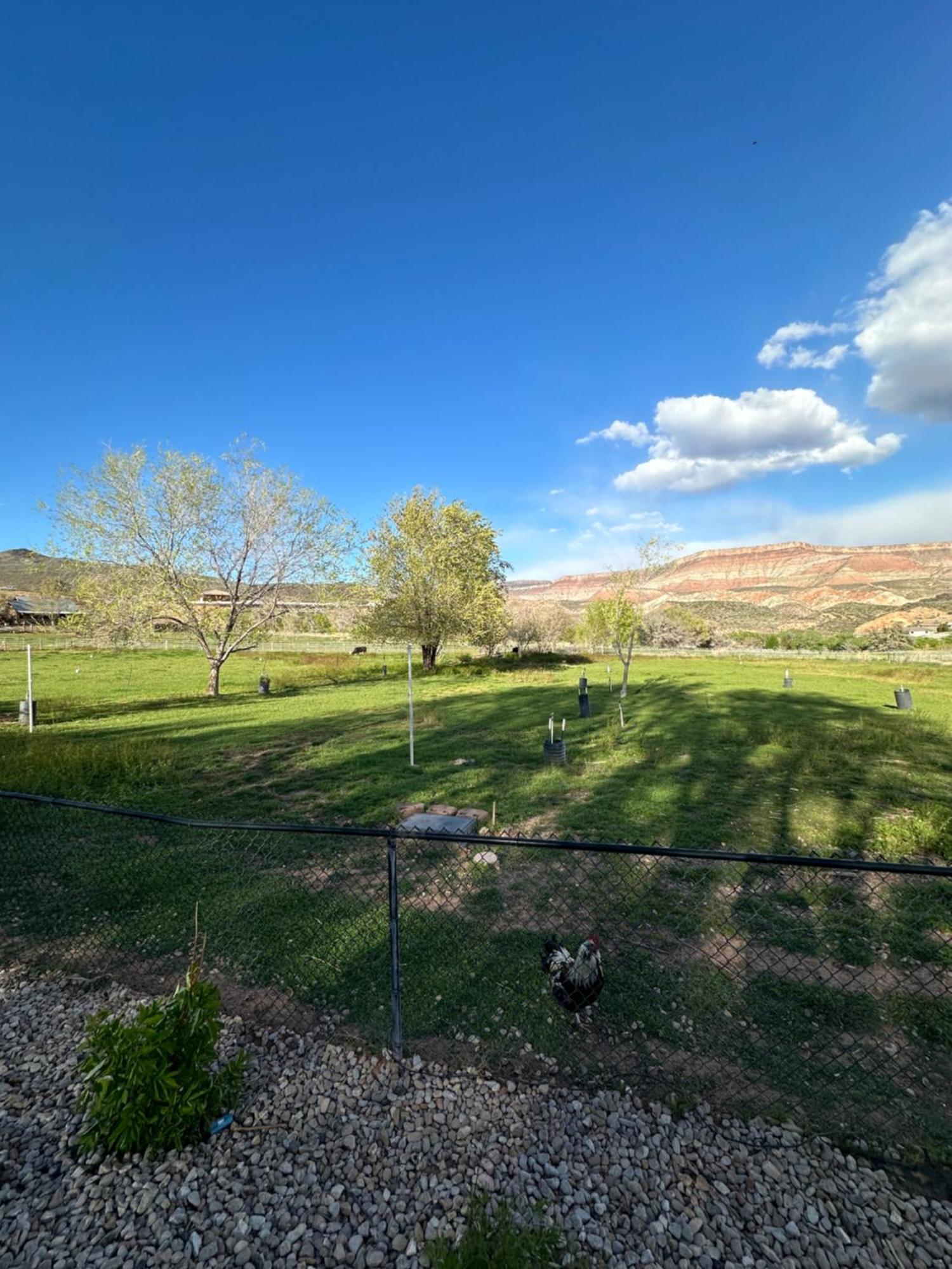 Вилла Copper Creek Farm Toquerville Экстерьер фото